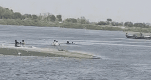 People rescuing by swimming near a riverbank after boat capsized